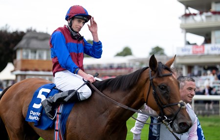 Content (Ryan Moore) parade up the track after  the Yorkshire Oaks
York 22.8.24 Pic: Edward Whitaker