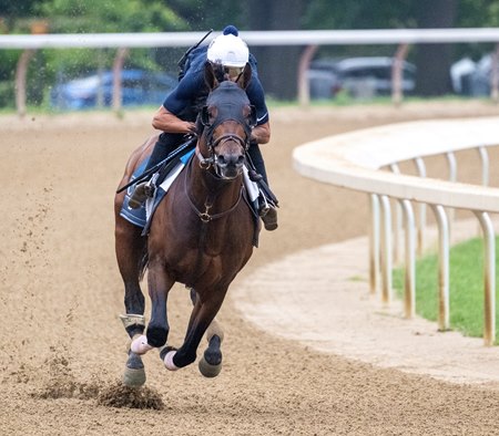Can Sierra Leone put it all together in the Travers Stakes? ABR's Mike Curry believes he will.