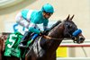 Getaway Car and jockey Juan Hernandez win the Grade III $150,000 Best Pal Stakes Sunday, August 11, 2024 at Del Mar Thoroughbred Club, Del Mar, CA.  The two-year-old son of Curlin is trained by Hall of Famer Bob Baffert.
Benoit Photo