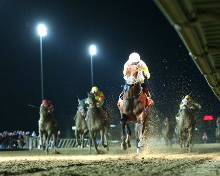 Skippylongstocking wins the 2024 Charles Town Classic at Charles Town