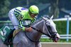 Next ridden by jockey Luan Machado easily wins the 1 3/4 mile Birdstone Stake at the Saratoga Race Course Sunday Aug 4, 2024 in Saratoga Springs, N.Y.  Photo  by Skip Dickstein