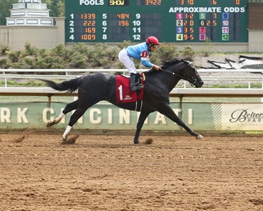 Ruffin - Horse Profile - BloodHorse
