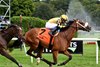 Totally Justified wins the P. G. Johnson Stakes at Saratoga on August 28, 2024