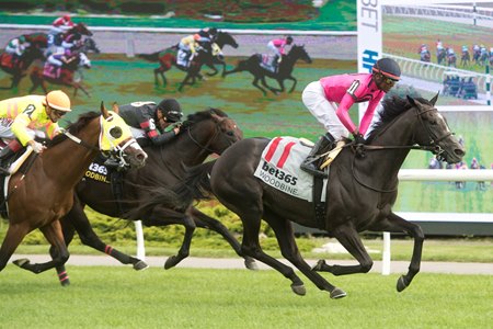 Swift Delivery wins an allowance optional claimer at Woodbine