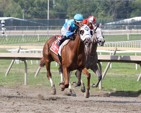 Gun Song Eyes Mother Goose Win After Cotillion Loss