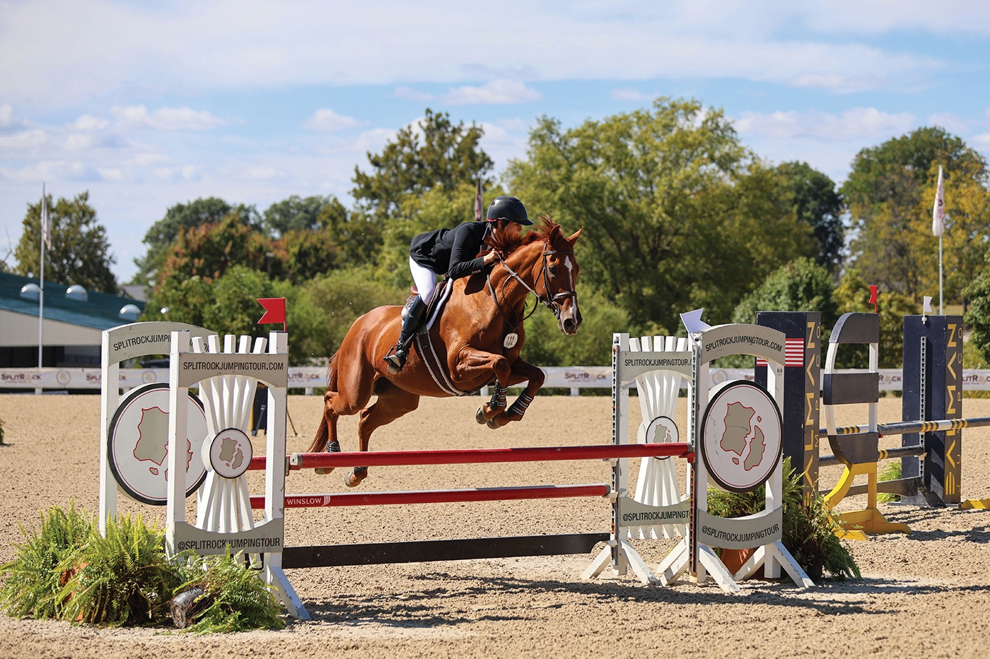 【CSR】 Red Hare, Unrivaled Stallion - EVP 𝗝𝗨𝗦𝗧𝗜𝗙𝗜𝗘𝗗 𝗦𝗠𝗢𝗢𝗧𝗛 𝗠𝗩𝗣 2023 Red Roan