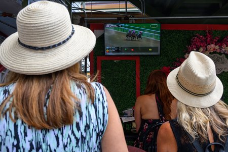 Fans at Saratoga Race Course