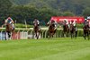 Lady Mary (second from right) finishes third under Vincent Ho in the G1 Preis der Diana – German Oaks