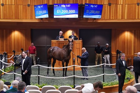 The Ghostzapper filly consigned as Hip 147 in the ring at the F-T Saratoga Sale