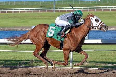 Classy City wins the Western Canada Handicap at Century Mile Racetrack