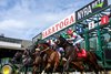 Starting Gate, Saratoga Race Course, August 30 2024
