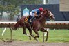 Subsanador(#6) with Jockey Mike Smith riding won the $250,000 Grade III Philip H. Iselin Stakes on Saturday August 17, 2024 at Monmouth Park Racetrack in Oceanport, NJ Photo By Melissa Torres/EQUI-PHOTO