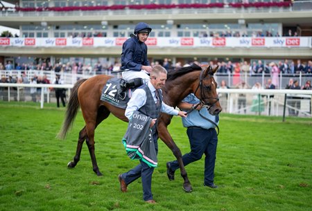 City of Troy after his victory in the 2024 Juddmonte International at York