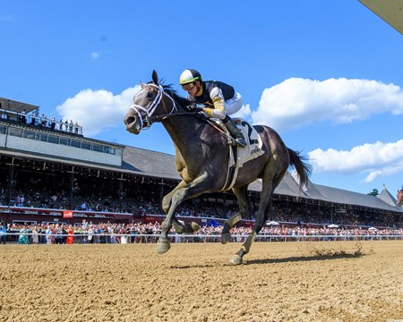 Showcase wins the 2024 Saratoga Special Stakes at Saratoga Race Course