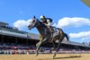 Showcase wins the 2024 Saratoga Special Stakes at Saratoga Race Course