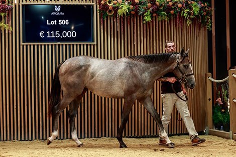 Daughter of Starspangledbanner Tops v.2 Yearling Sale