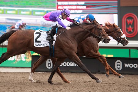 Dresden Row (shadow roll) edges Ron's Gizmo to win the Durham Cup at Woodbine