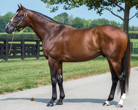 Thousand Words Sold to Duncan Farms in Ohio