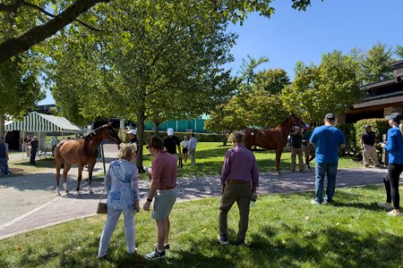 Keeneland has enjoyed positive numbers through the first three books of its September Yearling Sale