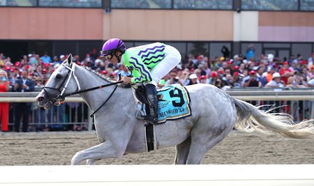 Next wins the Greenwood Cup Stakes at Parx Racing