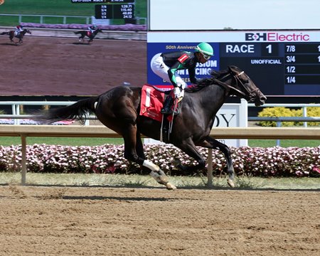 Presha win a maiden special weight in 2024 at Horseshoe Indianapolis