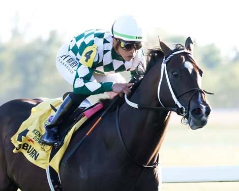 Cogburn Stallion Share Offered in Keeneland Champ. Sale