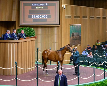 The Maxfield filly consigned as Hip 53 sells for $1 million at  the Keeneland September Sale