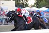 Bentornato #1 with Irad Ortiz, Jr. riding won the $400,000 Grade II Gallant Bob Stakes at Parx Racing in Bensalem, PA on September 21, 2024. Photo by Ryan Denver/EQUI-PHOTO