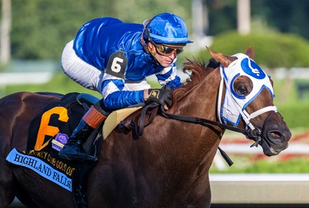 Highland Falls wins the Jockey Club Gold Cup Stakes at Saratoga Race Course