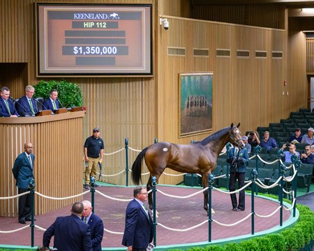 Hip 112, a Medaglia d'Oro full brother to Rachel Alexandra consigned by Hill 'n' Dale at Xalapa, is purchased for $1.35 million by Epic Horses at the Keeneland September Yearling Sale