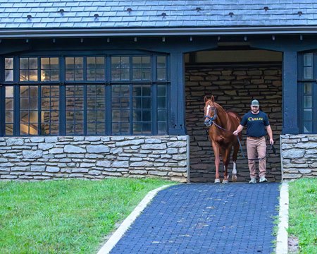 Curlin at Hill 'n' Dale at Xalapa