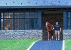 walking to his paddock from the stallion barn
Curlin with stallion manager Lance Mitchell  at Hill ’n’ Dale Farm at Xalapa near Lexington, Ky, on  Sept. 26, 2024. 