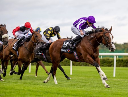 Diego Velazquez wins the Solonaway Stakes at Leopardstown