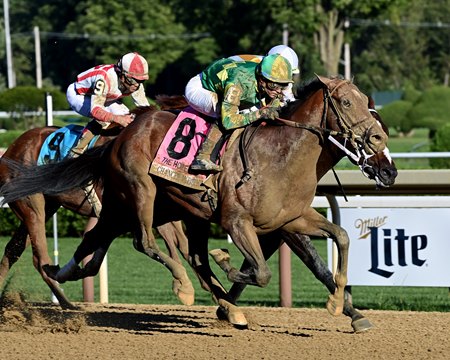 Hopeful Stakes winner Chancer McPatrick will try for a second grade 1 win in the Champagne Stakes