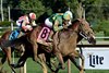 Chancer McPatrick wins the 2024 Hopeful Stakes at Saratoga