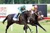 Deterministic wins the 2024 Virginia Derby at Colonial Downs