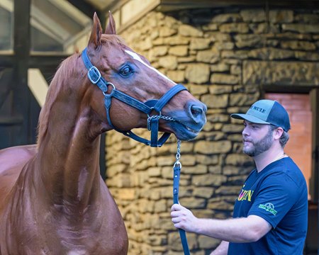 Curlin with Lance Mitchell at Hill ’n’ Dale Farms at Xalapa