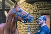 Curlin with stallion manager Lance Mitchell  at Hill ’n’ Dale Farm at Xalapa near Lexington, Ky, on  Sept. 26, 2024. 