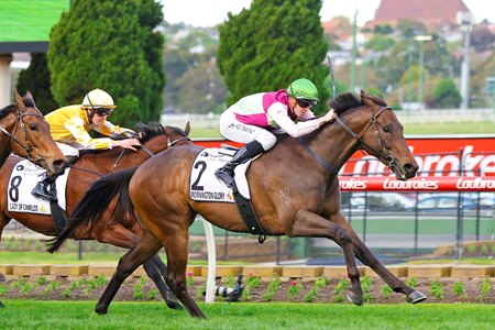 Mornington Glory wins the 2024 Moir Stakes at Moonee Valley Racecourse