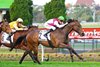 Mornington Glory wins the 2024 Moir Stakes at Moonee Valley Racecourse
ridden by Ethan Brown and trained by Gavin Bedggood