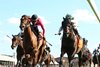 Safeen wins the 2024 One Dreamer Stakes at Kentucky Downs