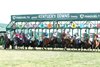 Kathynmarissa wins the 2024 Dueling Grounds Oaks Invitational Stakes at Kentucky Downs