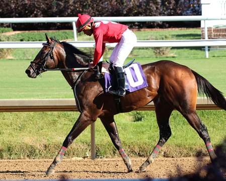 Jonathan's Way after his win in the 2024 Iroquois Stakes at Churchill Downs