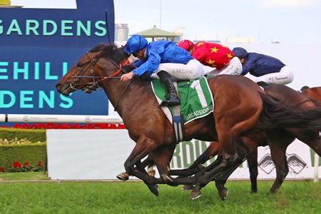 Broadsiding wins the Golden Rose Stakes at Rosehill Gardens