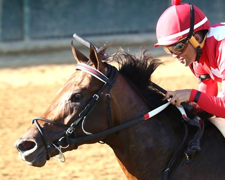 Jonathan's Way and Joel Rosario win the Iroquois Stakes at Churchill Downs