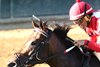 Jonathan&#39;s Way wins the 2024 Iroquois Stakes at Churchill Downs