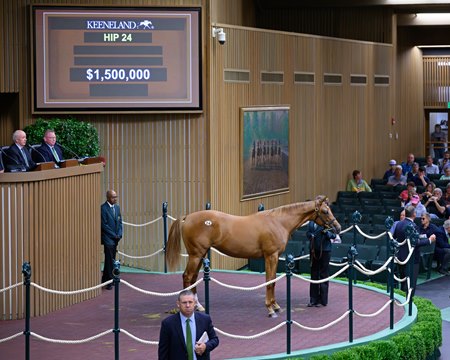 The Gun Runner filly consigned as Hip 24 sells for   $1.5 million at the Keeneland September Sale