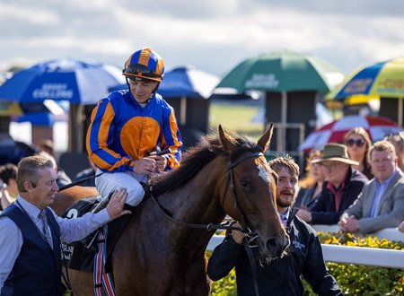 Undefeated Lake Victoria after her victory in the Moyglare Stud Stakes at The Curragh