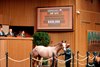 Hip1673,  2024 Keeneland September Sale