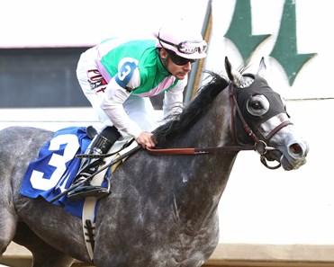 Batten Down - Horse Profile - BloodHorse